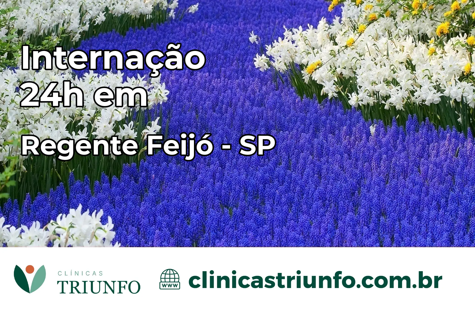 Internação 24 horas em Regente Feijó – SP