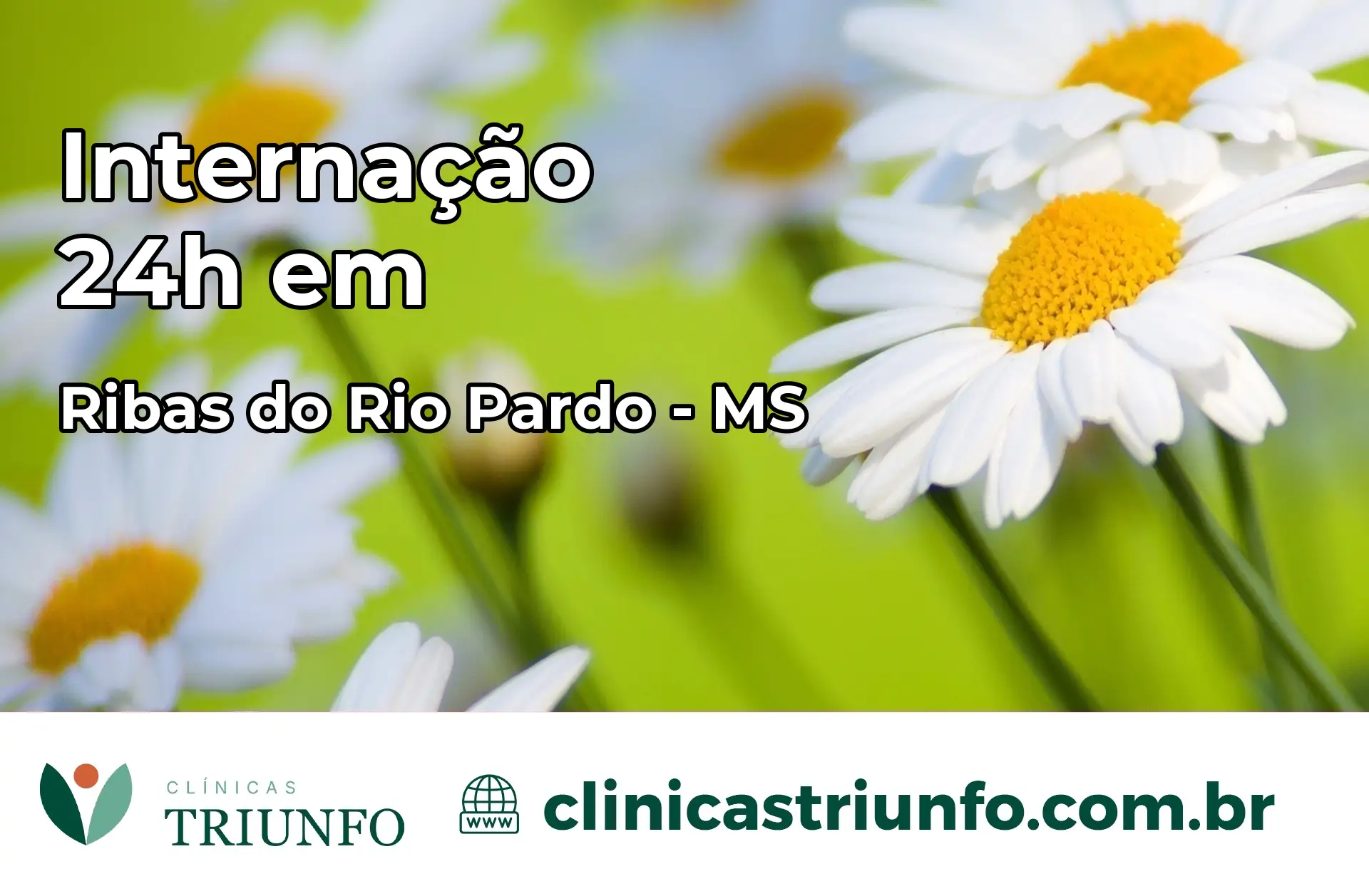 Internação 24 horas em Ribas do Rio Pardo – MS