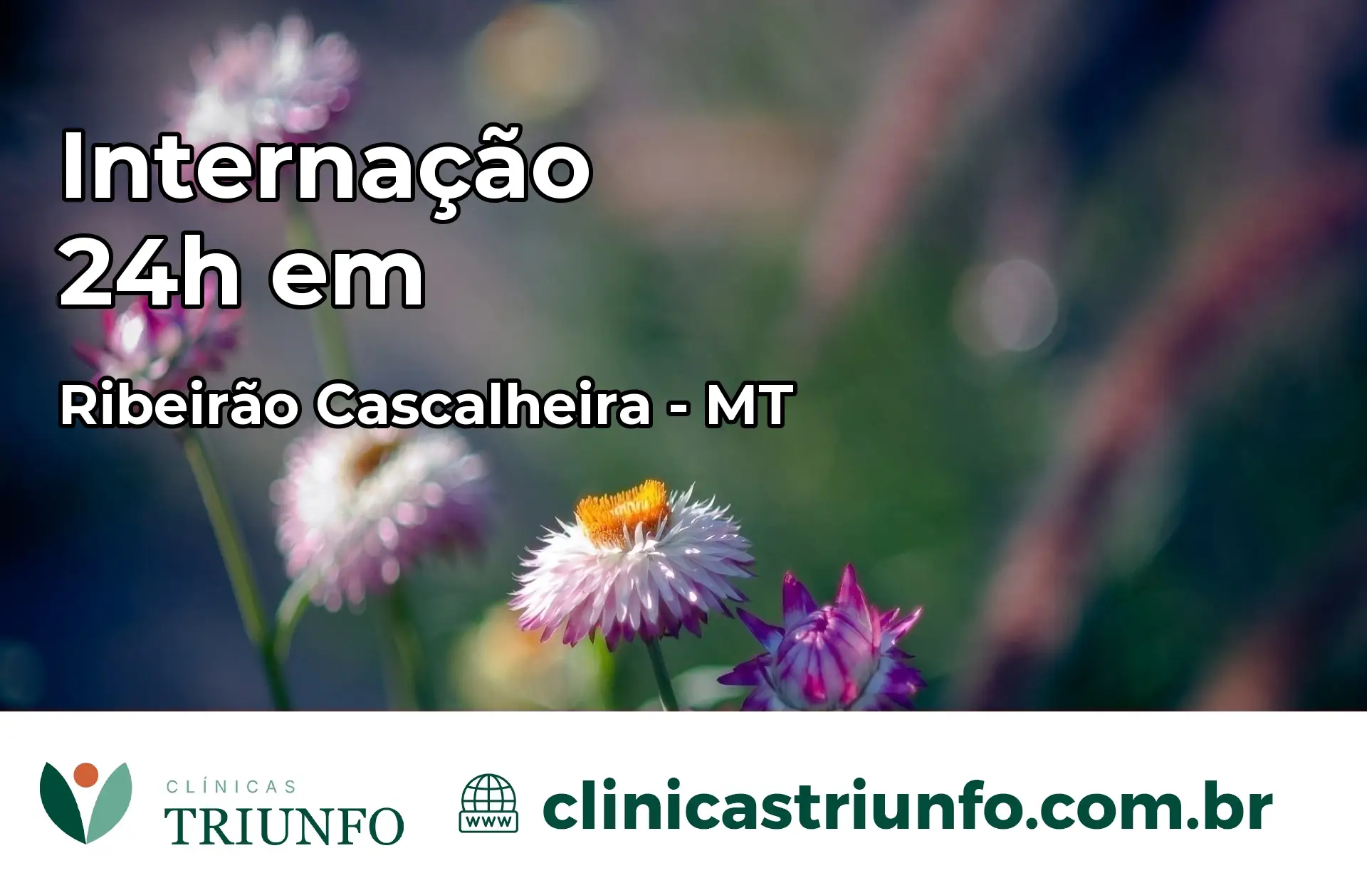 Internação 24 horas em Ribeirão Cascalheira – MT