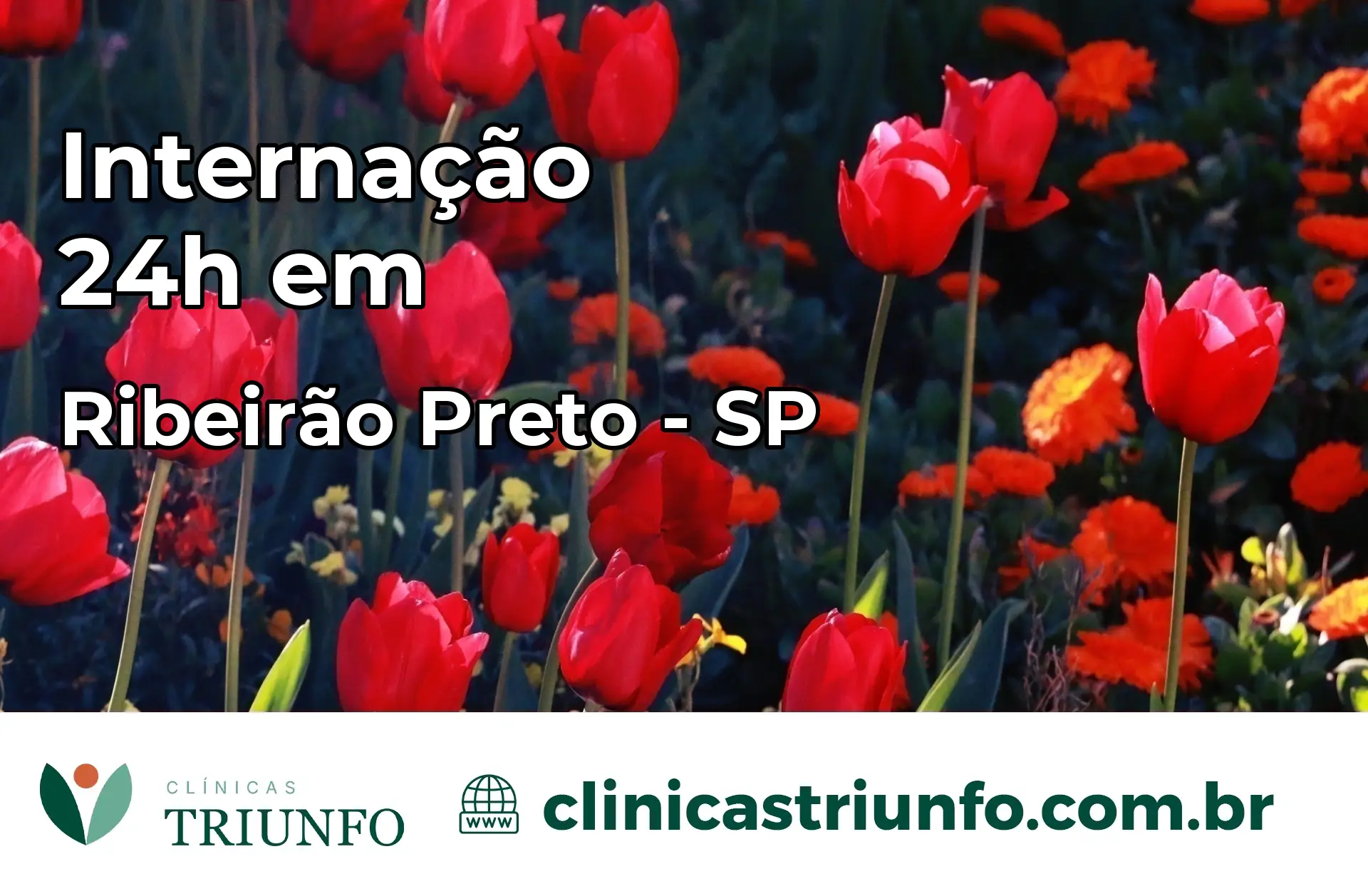 Internação 24 horas em Ribeirão Preto – SP