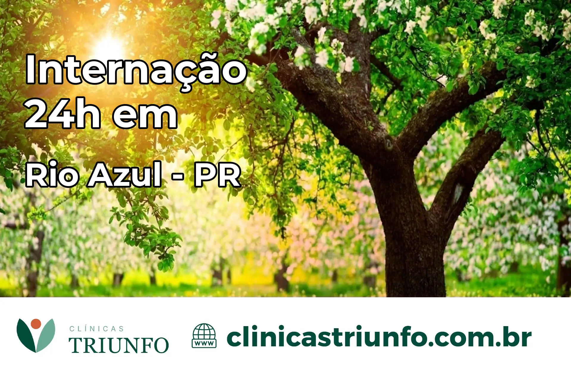 Internação 24 horas em Rio Azul – PR