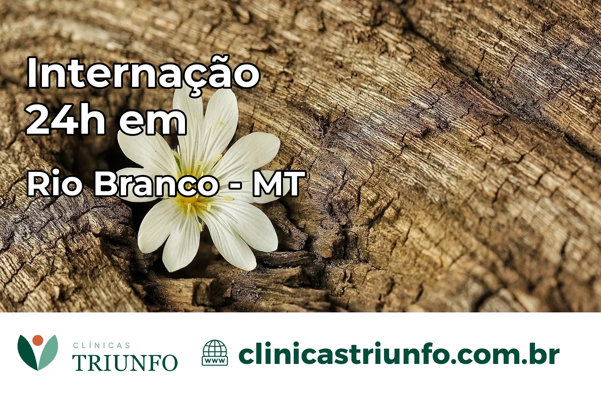 Internação 24 horas em Rio Branco – MT