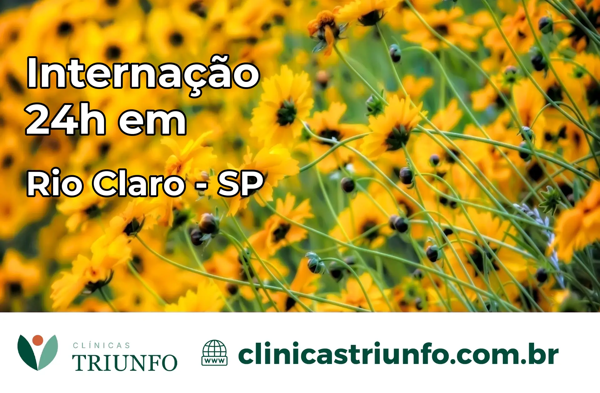 Internação 24 horas em Rio Claro – SP