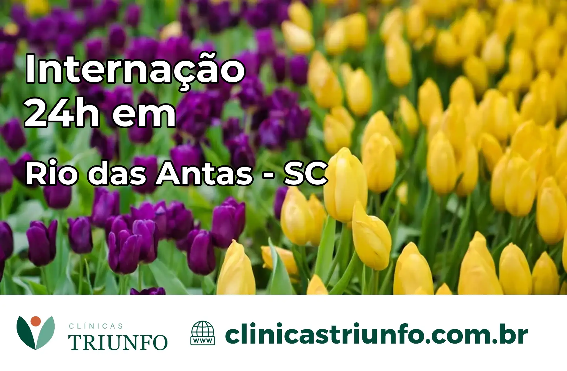 Internação 24 horas em Rio das Antas – SC