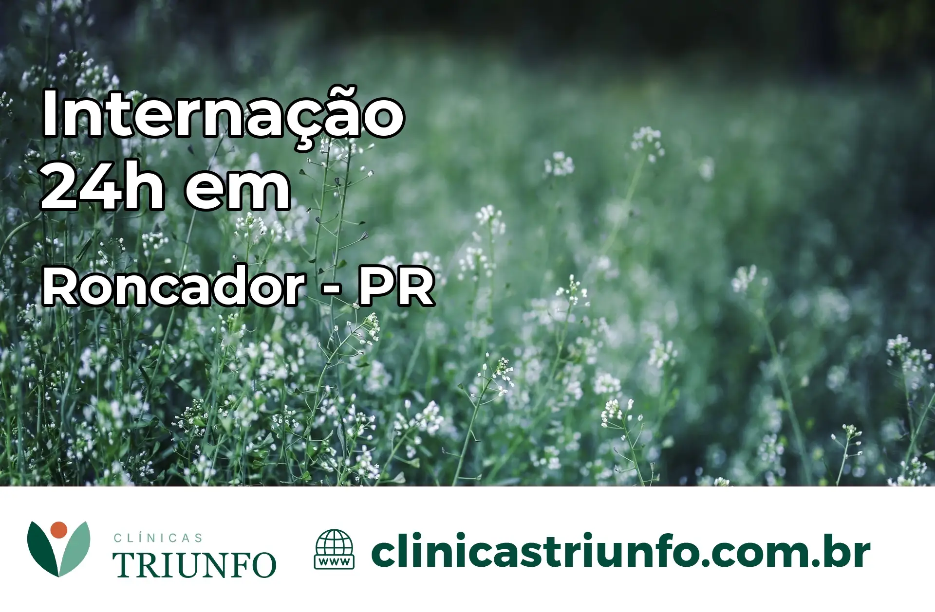Internação 24 horas em Roncador – PR