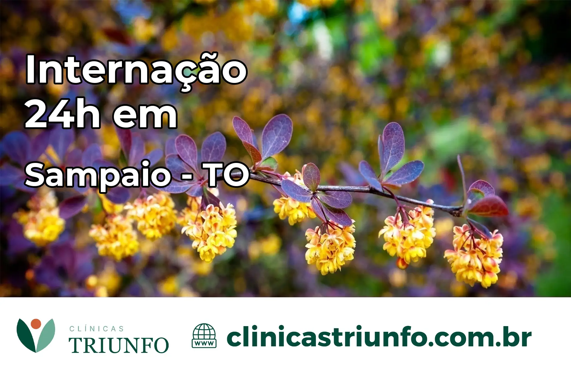 Internação 24 horas em Sampaio – TO