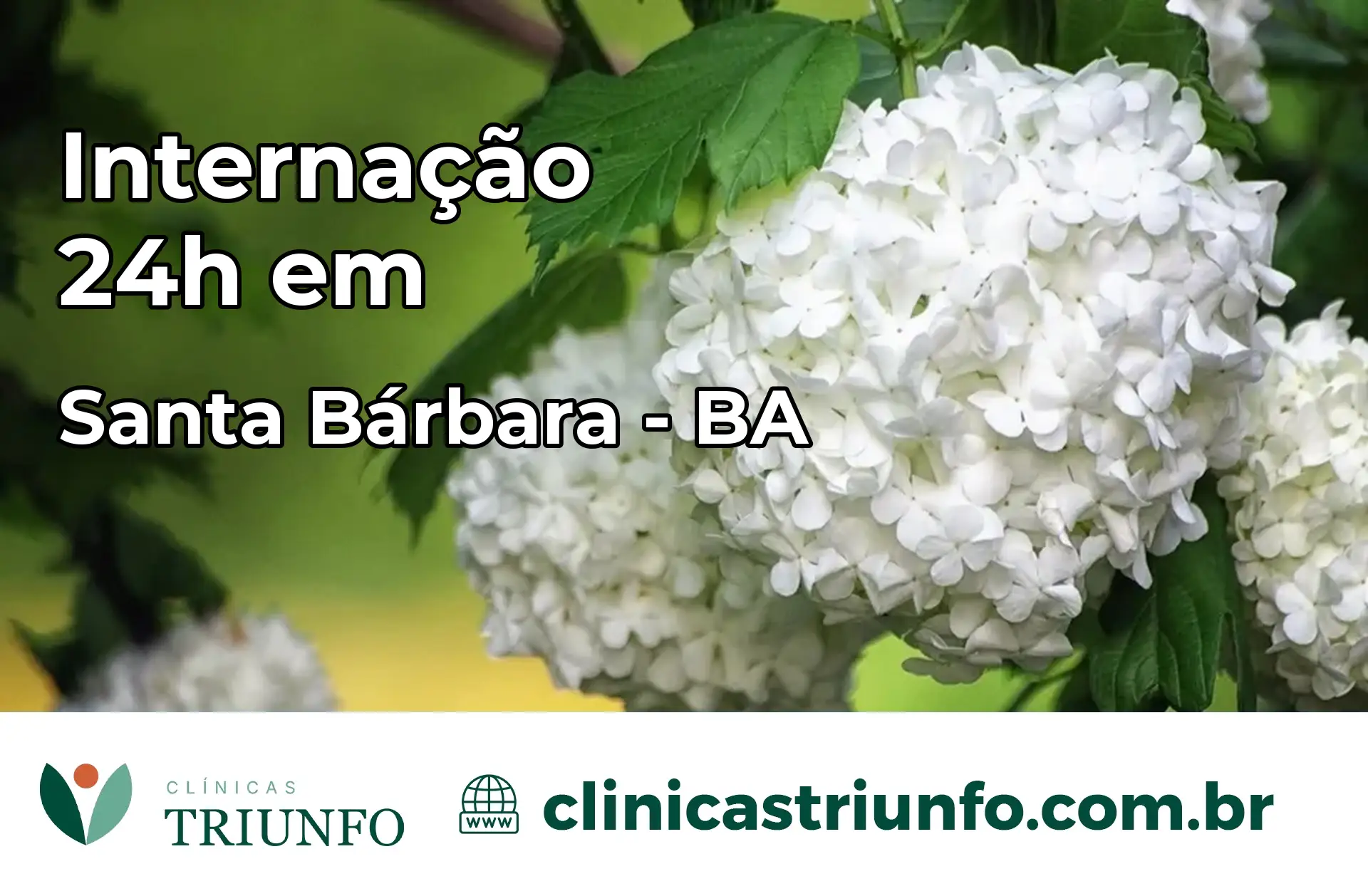 Internação 24 horas em Santa Bárbara – BA