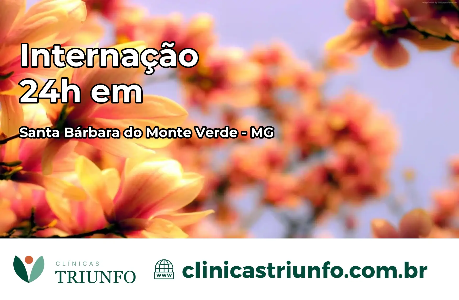 Internação 24 horas em Santa Bárbara do Monte Verde – MG