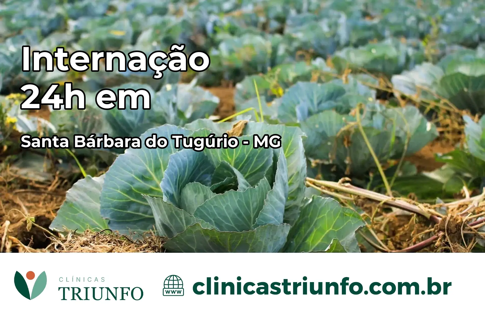 Internação 24 horas em Santa Bárbara do Tugúrio – MG