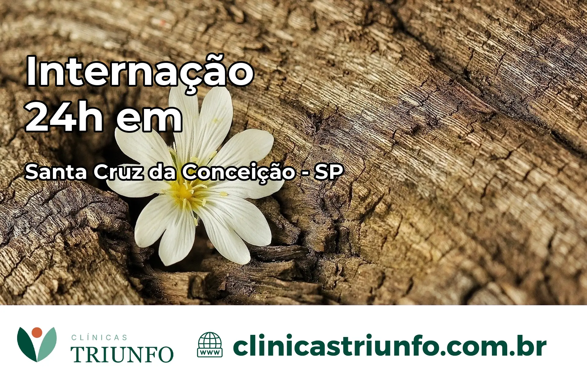 Internação 24 horas em Santa Cruz da Conceição – SP