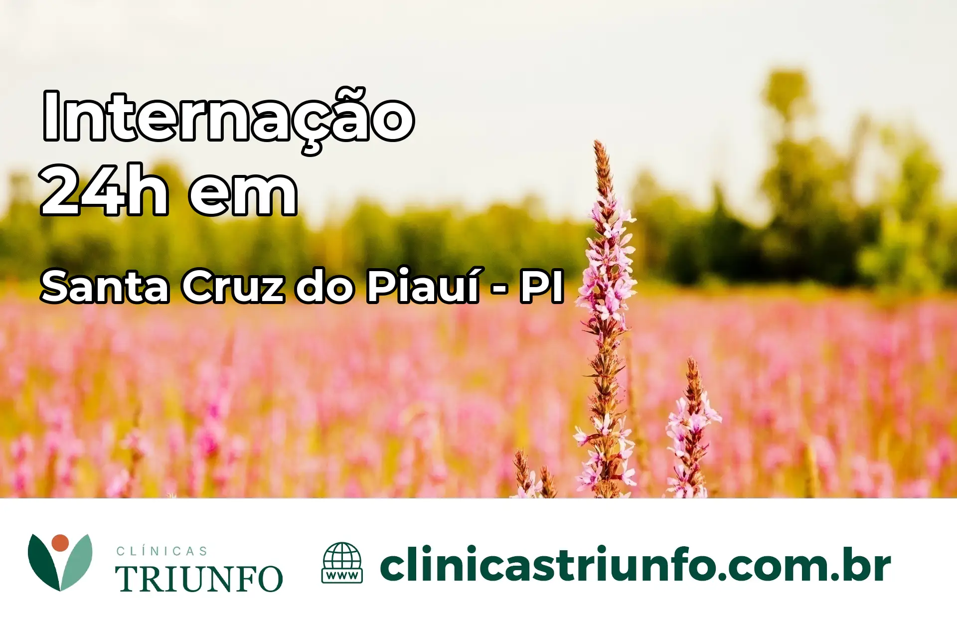 Internação 24 horas em Santa Cruz do Piauí – PI