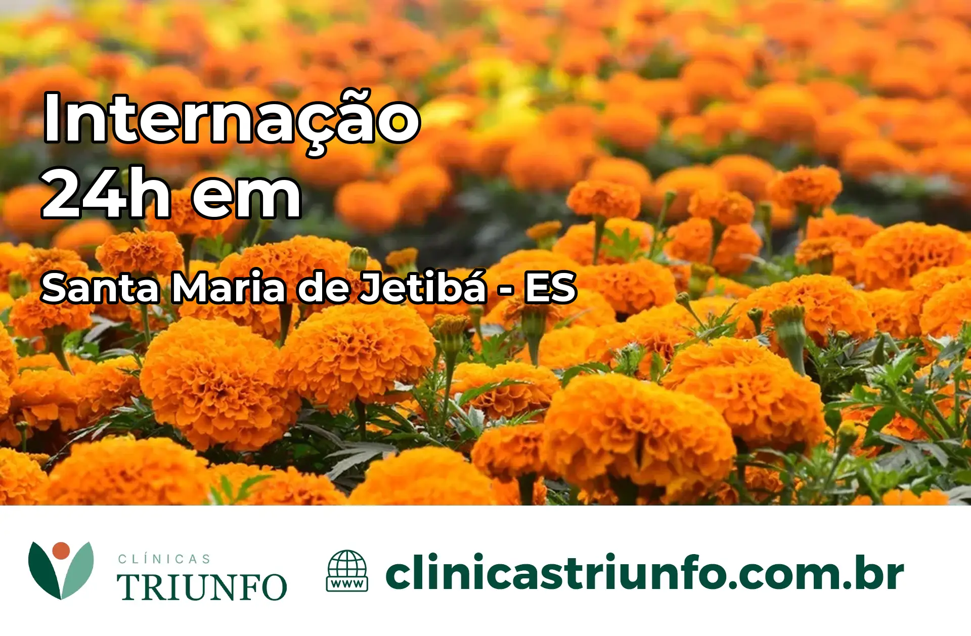 Internação 24 horas em Santa Maria de Jetibá – ES