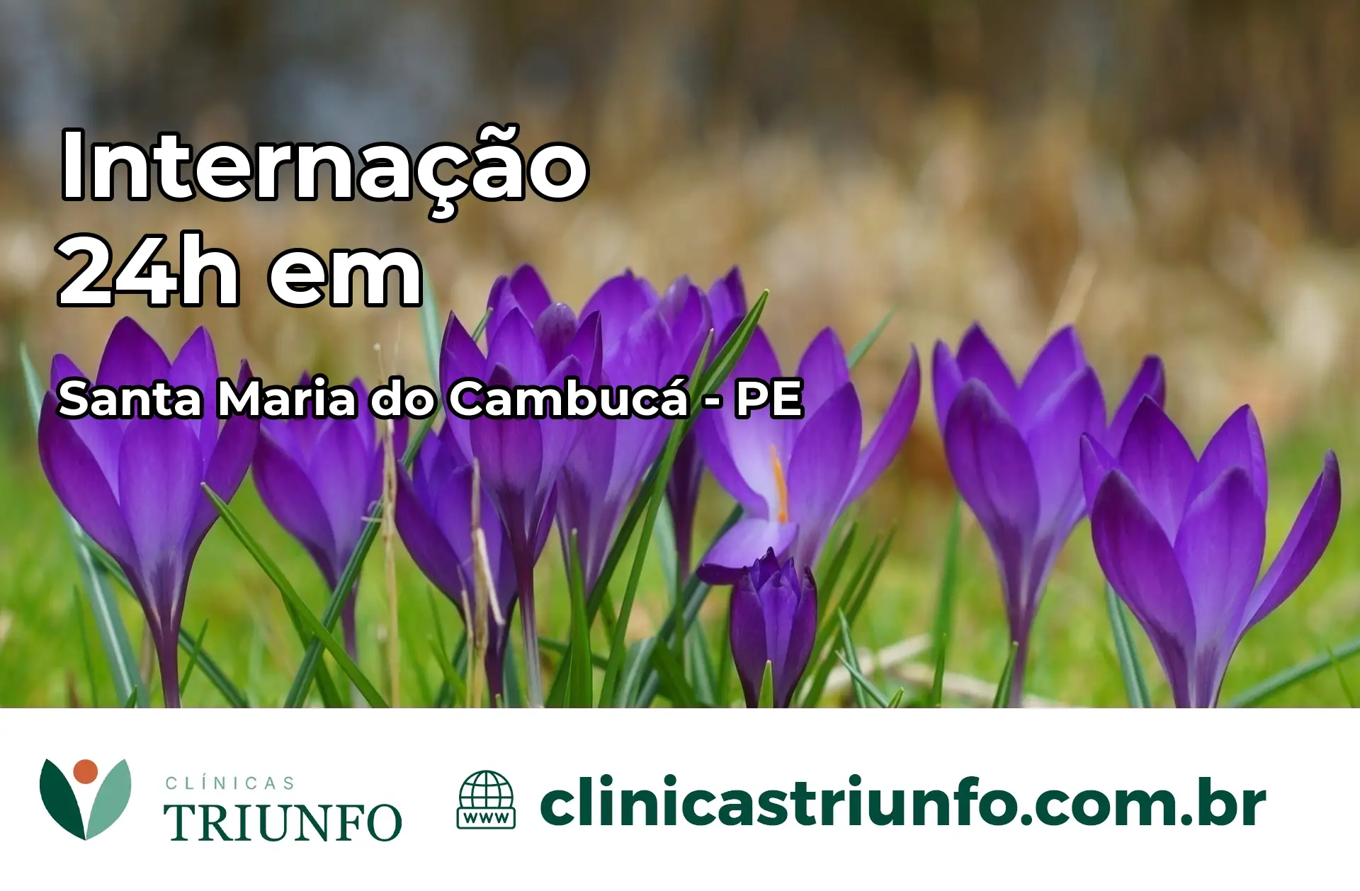 Internação 24 horas em Santa Maria do Cambucá – PE