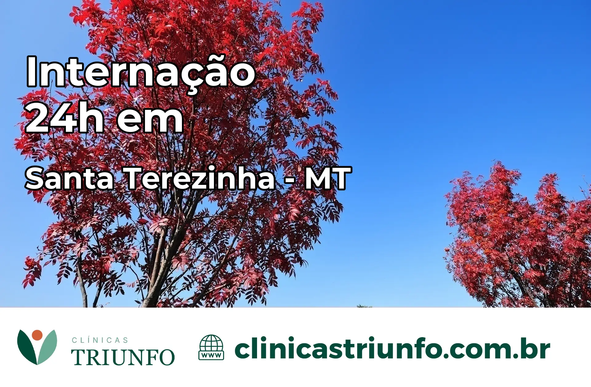 Internação 24 horas em Santa Terezinha – MT
