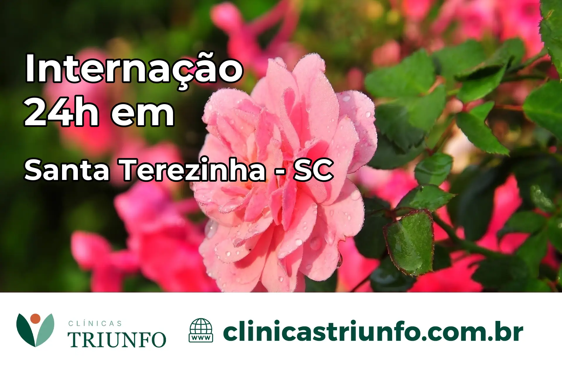 Internação 24 horas em Santa Terezinha – SC
