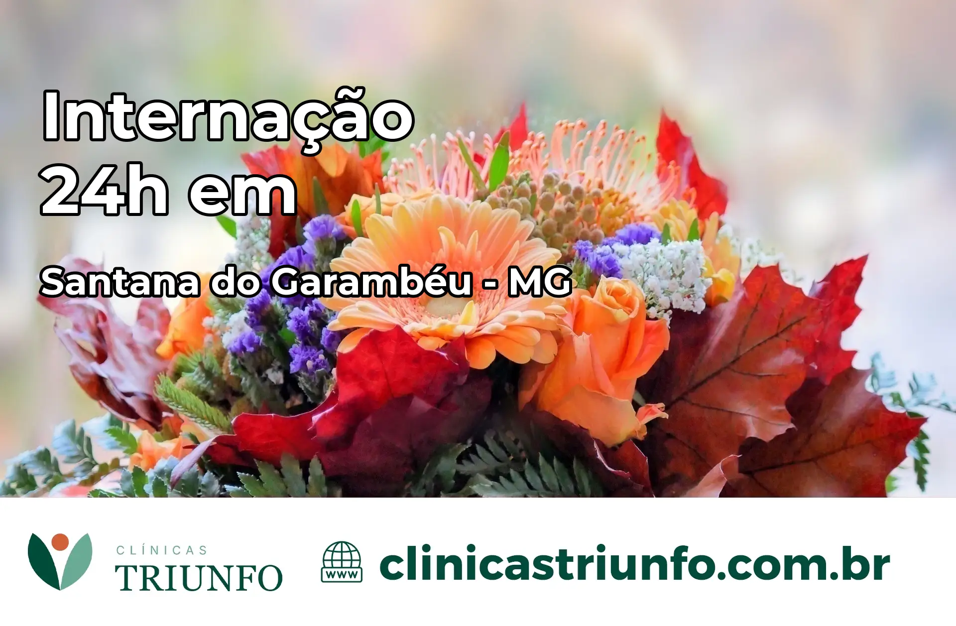 Internação 24 horas em Santana do Garambéu – MG