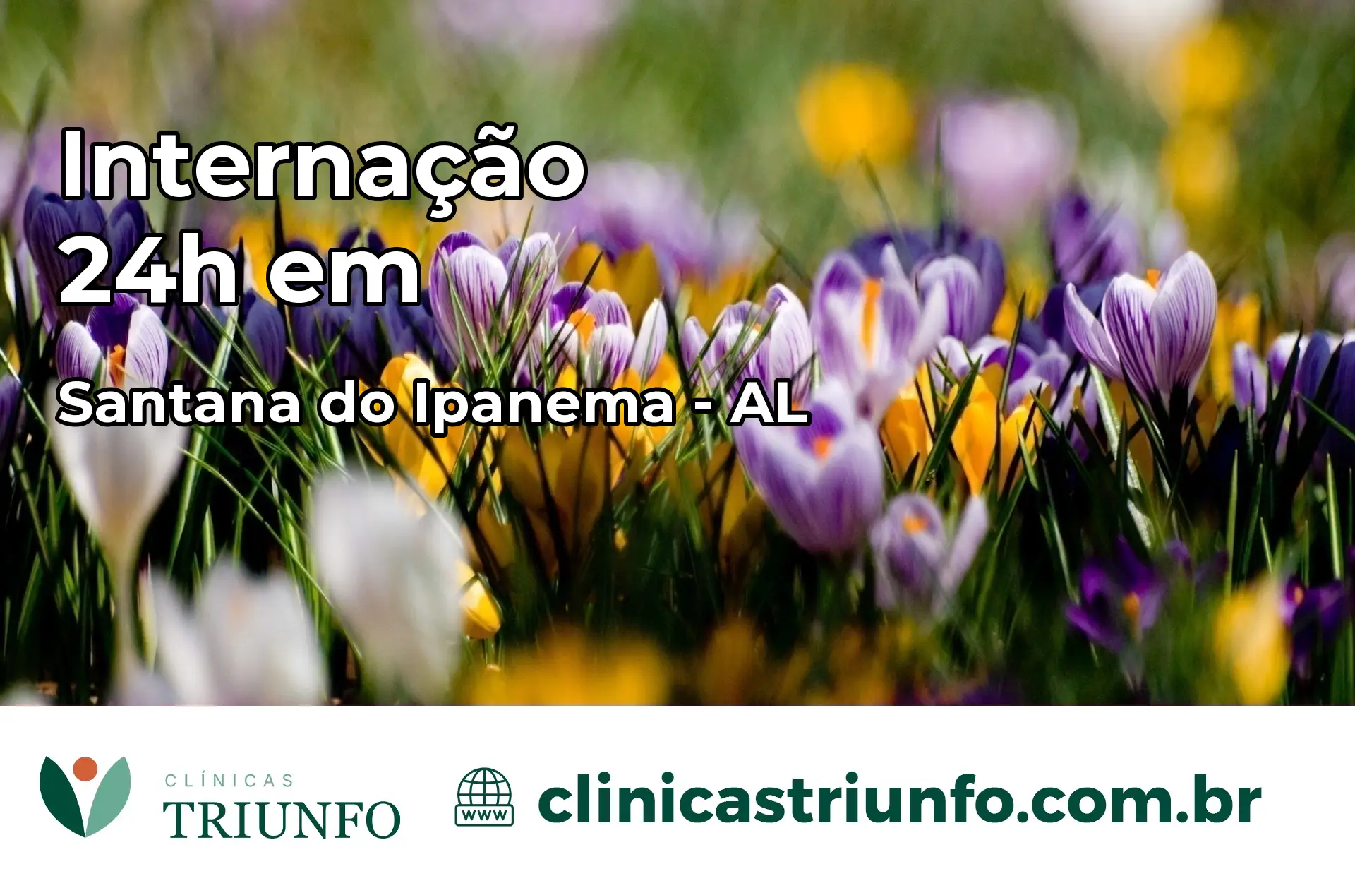 Internação 24 horas em Santana do Ipanema – AL