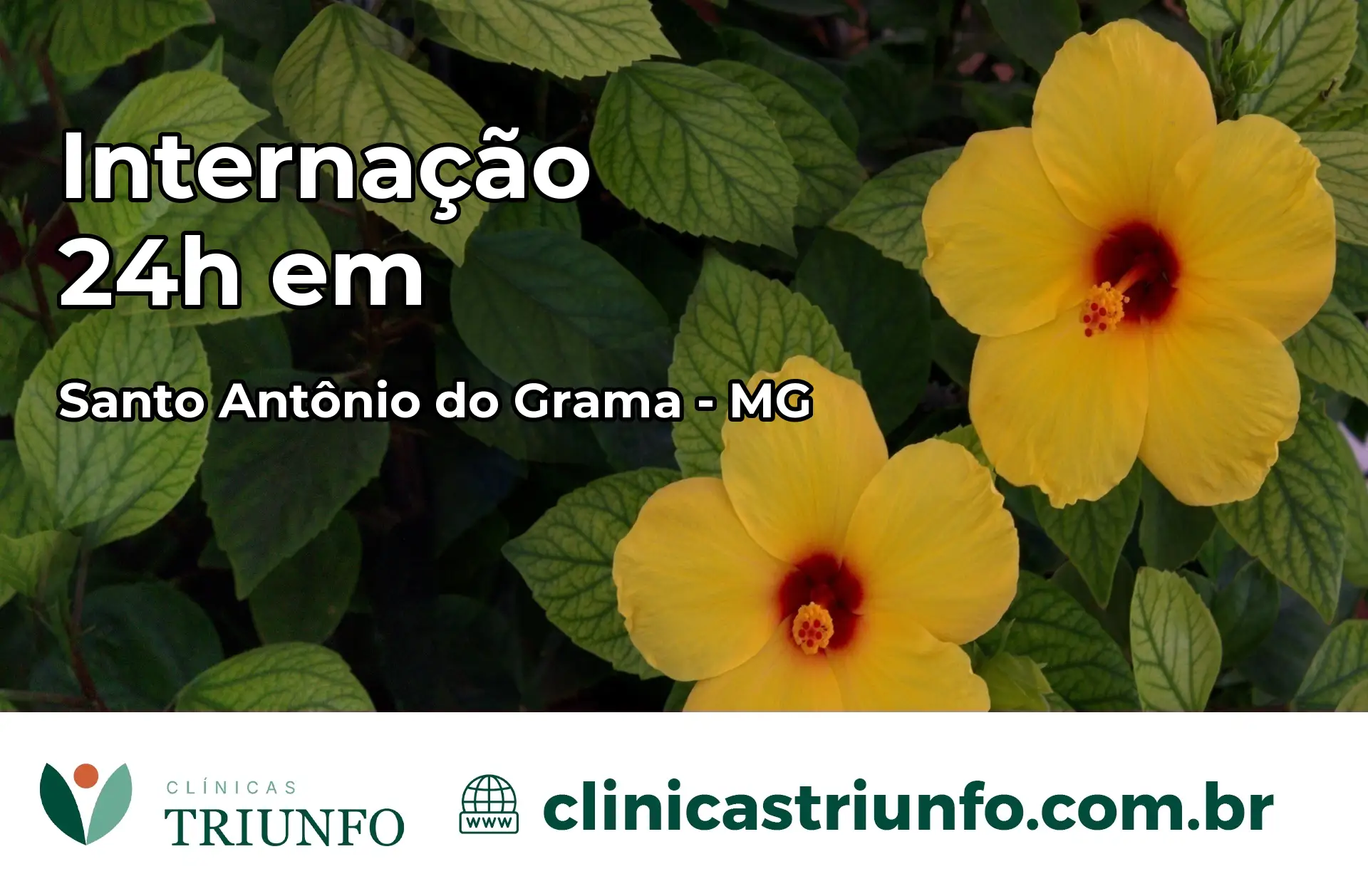 Internação 24 horas em Santo Antônio do Grama – MG