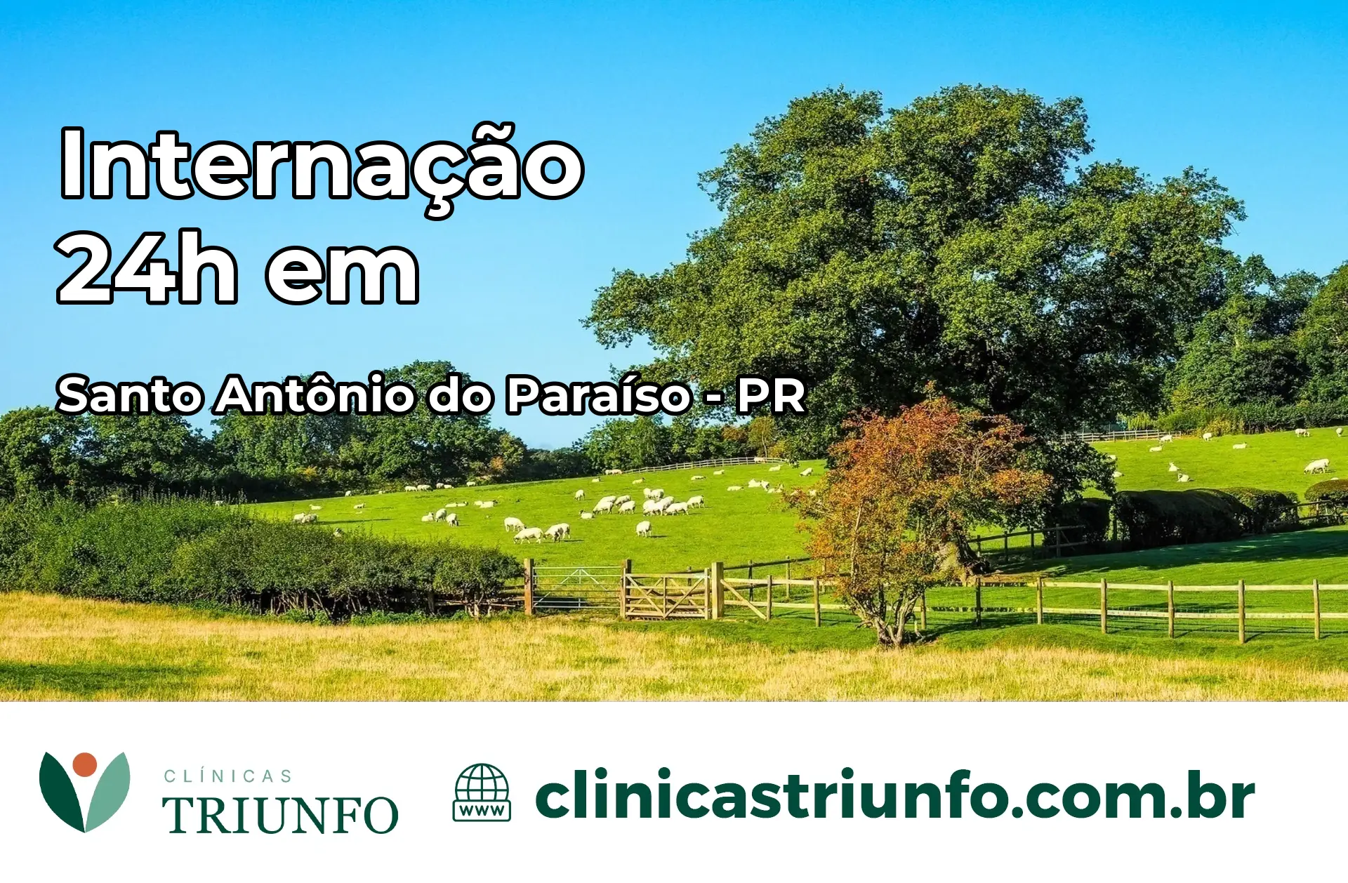 Internação 24 horas em Santo Antônio do Paraíso – PR