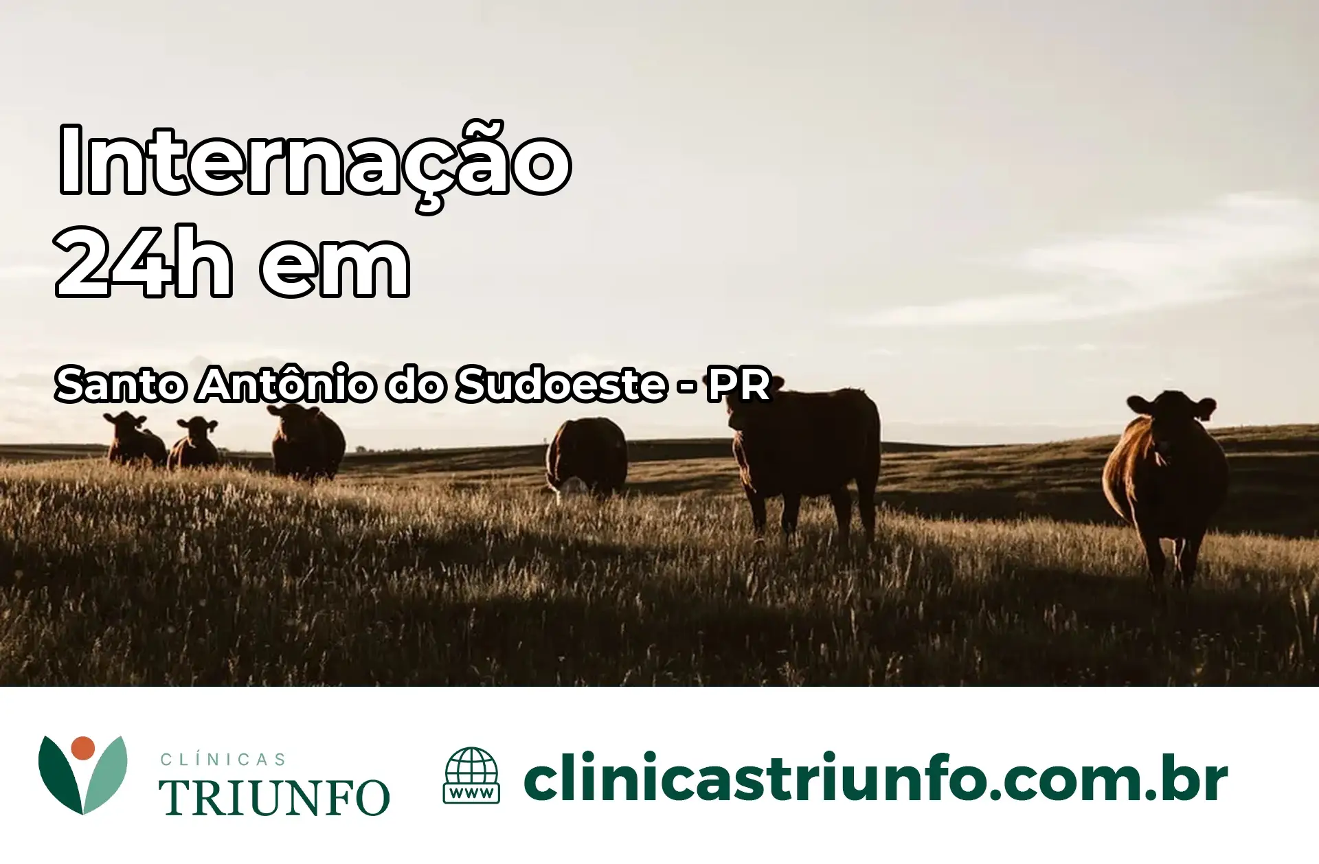 Internação 24 horas em Santo Antônio do Sudoeste – PR