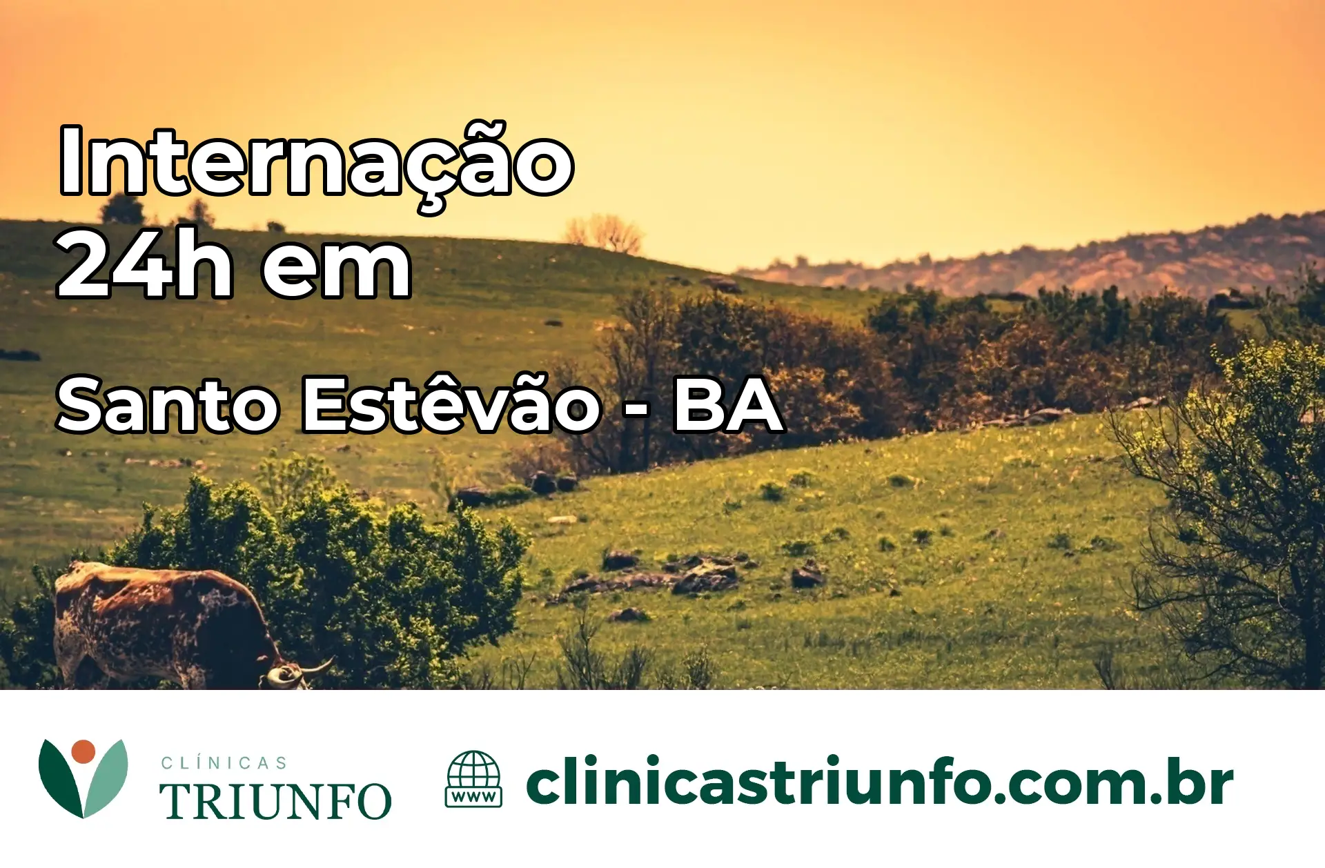 Internação 24 horas em Santo Estêvão – BA