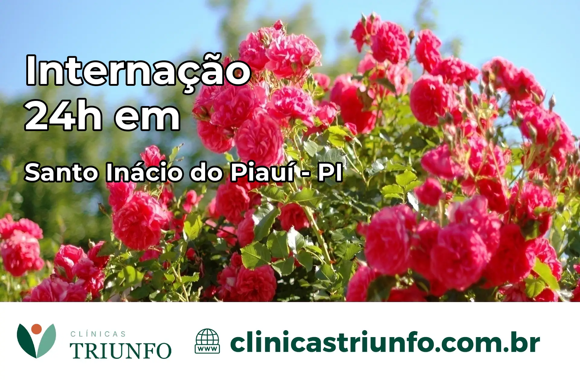 Internação 24 horas em Santo Inácio do Piauí – PI