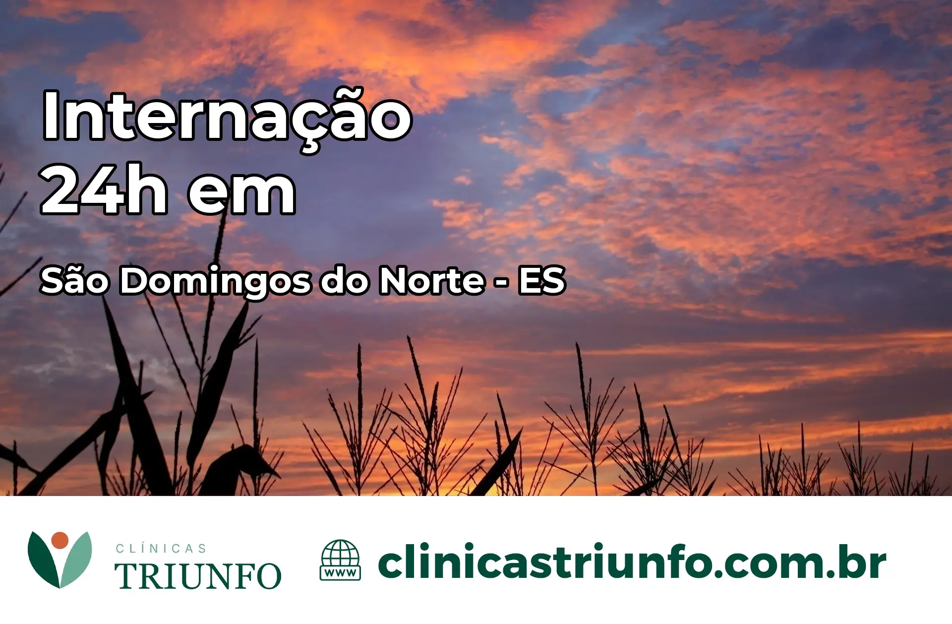 Internação 24 horas em São Domingos do Norte – ES