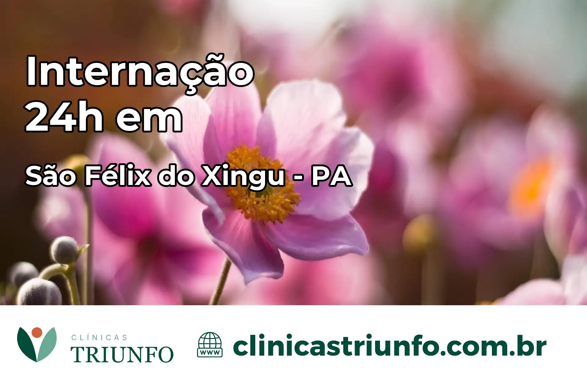 Internação 24 horas em São Félix do Xingu – PA