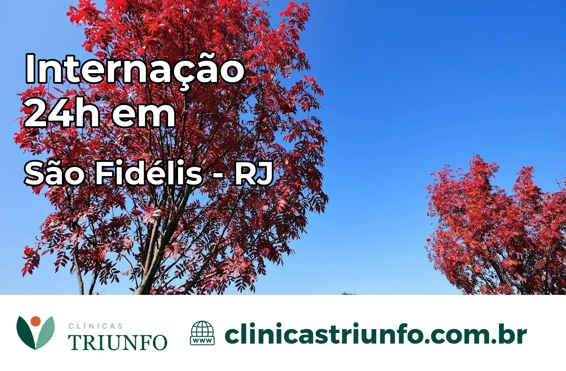 Internação 24 horas em São Fidélis – RJ