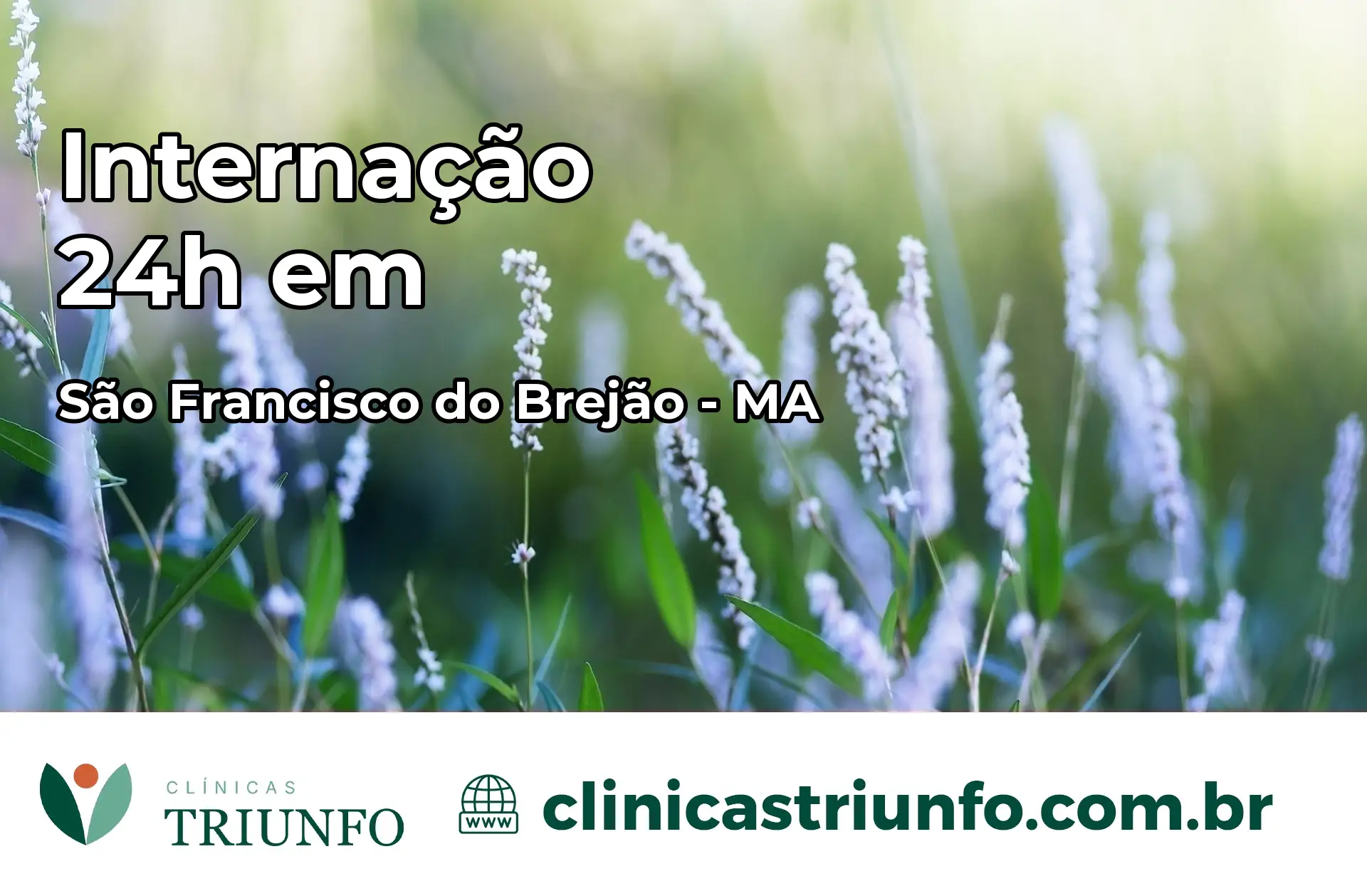 Internação 24 horas em São Francisco do Brejão – MA