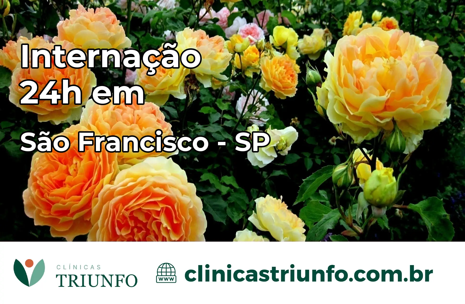 Internação 24 horas em São Francisco – SP