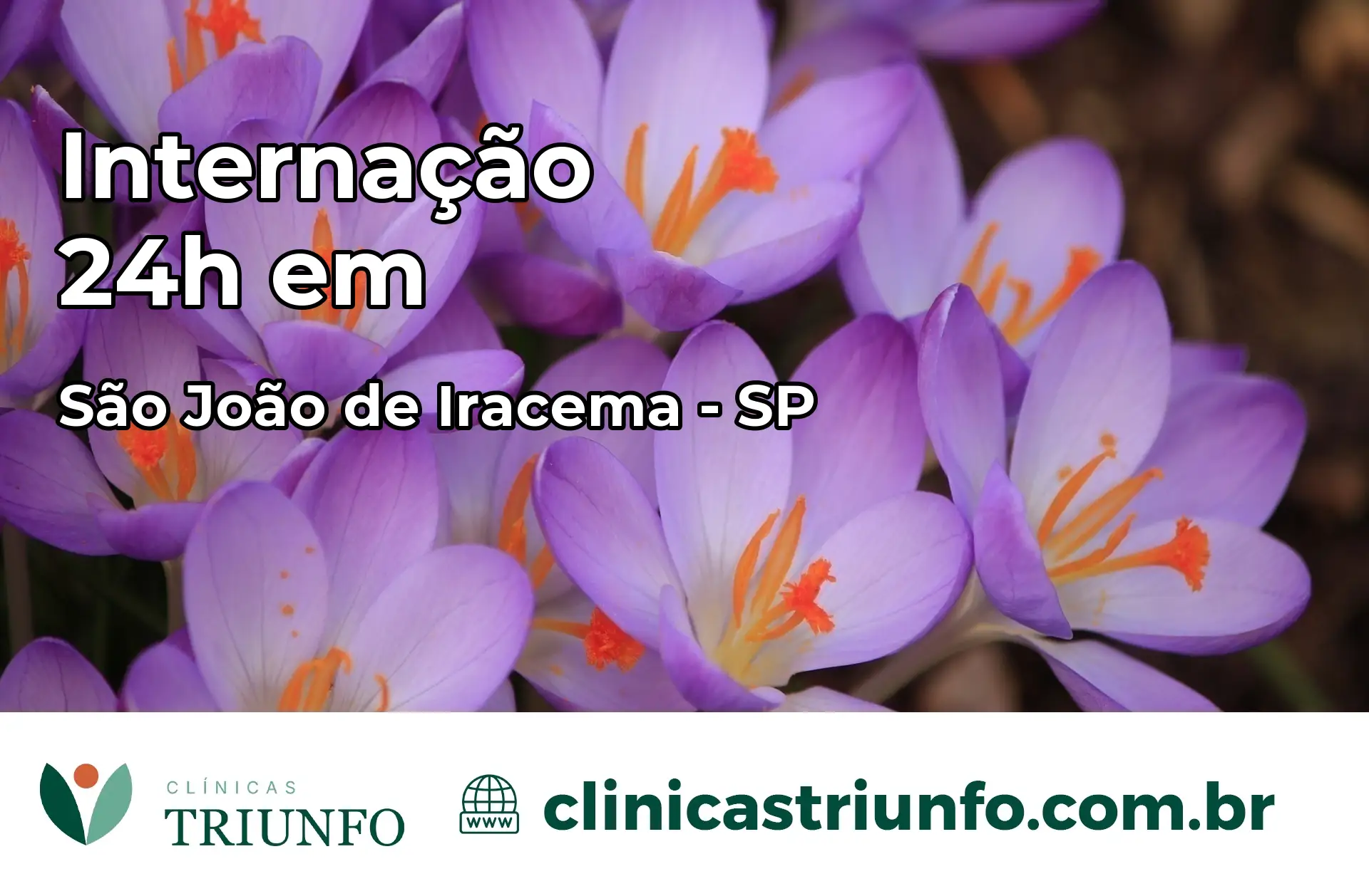 Internação 24 horas em São João de Iracema – SP