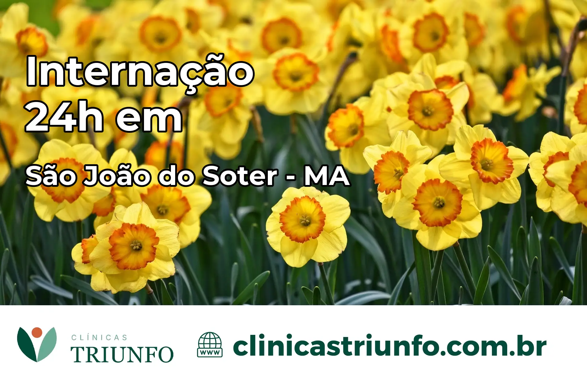Internação 24 horas em São João do Soter – MA