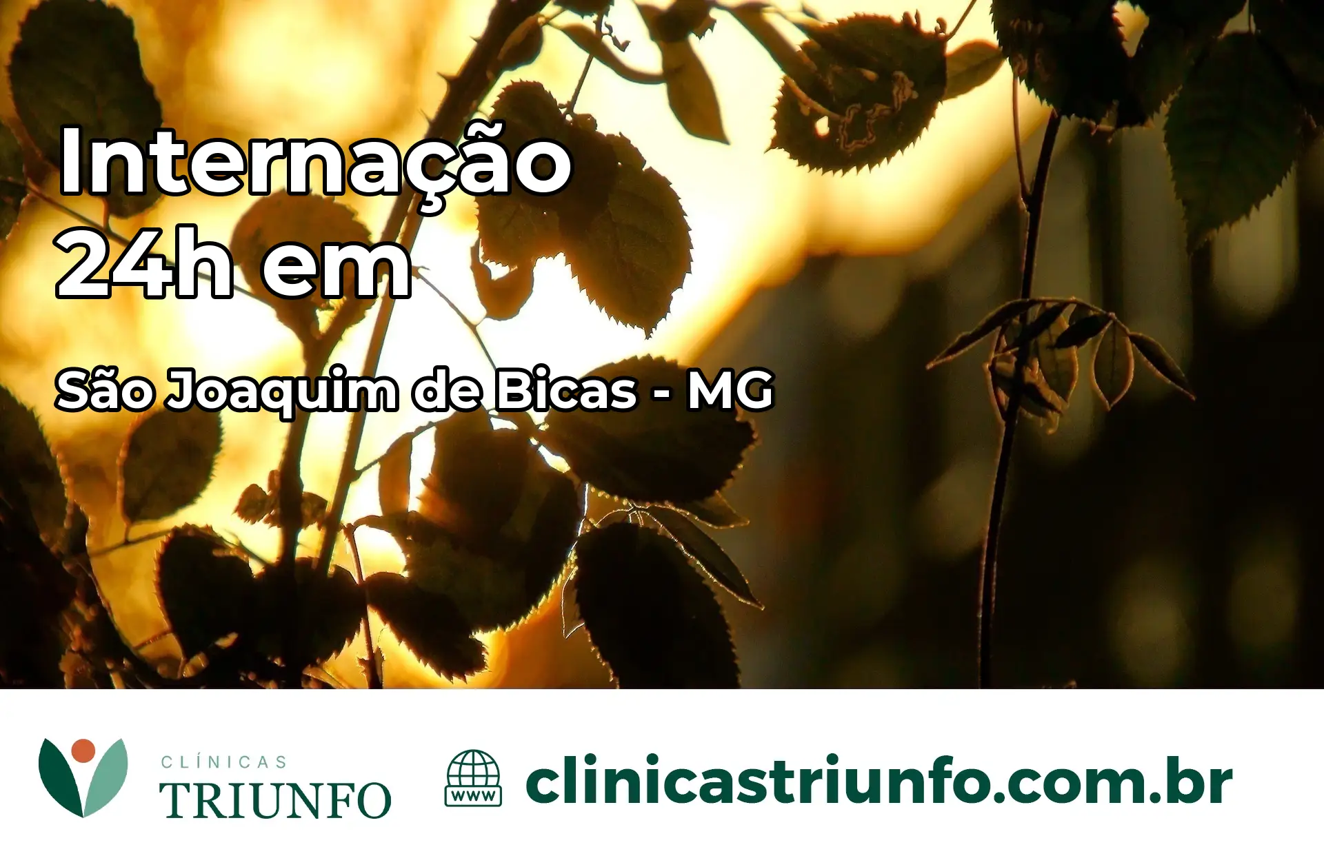 Internação 24 horas em São Joaquim de Bicas – MG