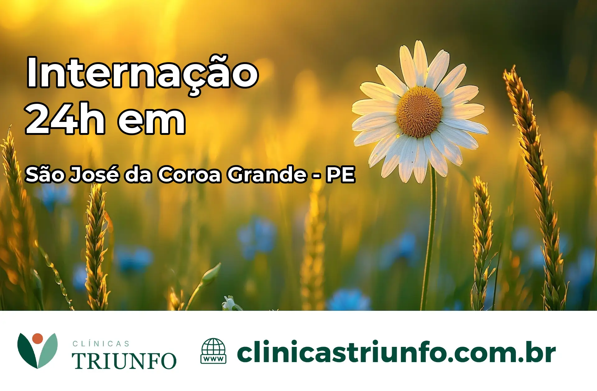 Internação 24 horas em São José da Coroa Grande – PE