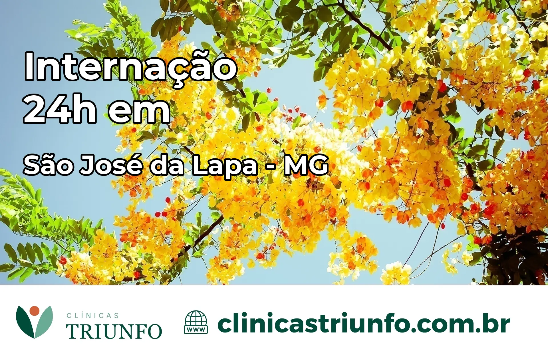 Internação 24 horas em São José da Lapa – MG