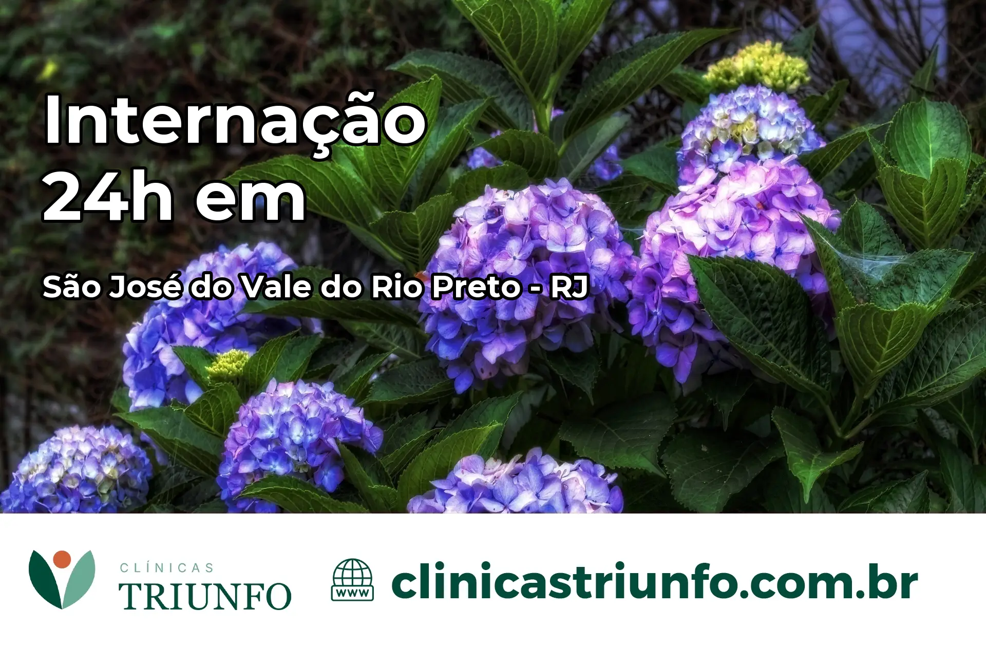 Internação 24 horas em São José do Vale do Rio Preto – RJ