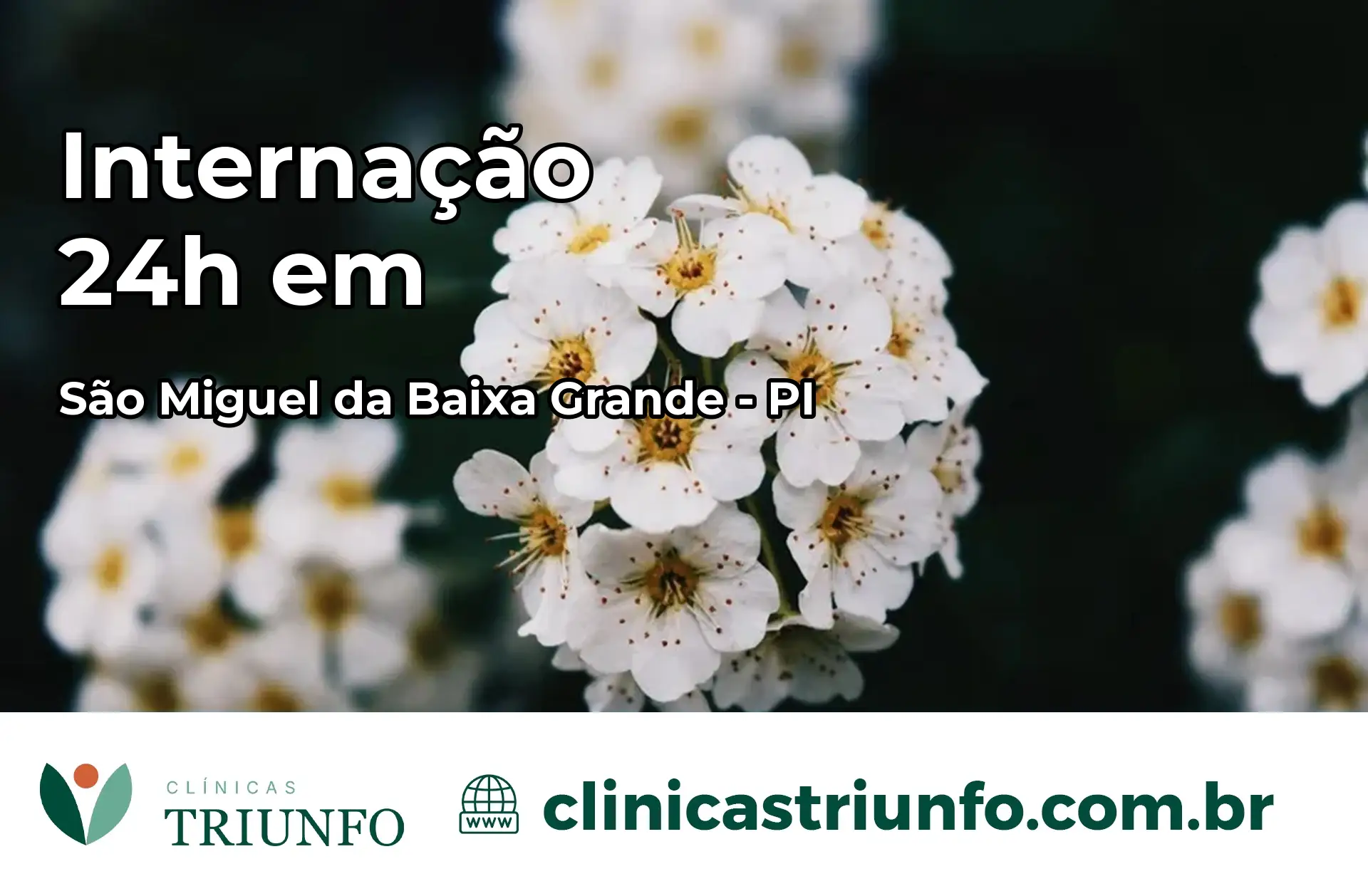 Internação 24 horas em São Miguel da Baixa Grande – PI