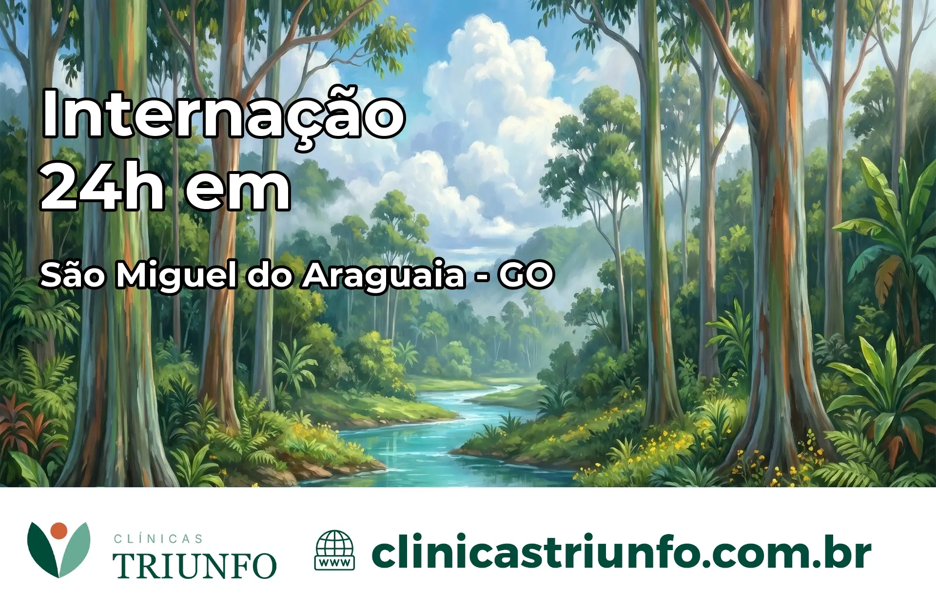 Internação 24 horas em São Miguel do Araguaia – GO