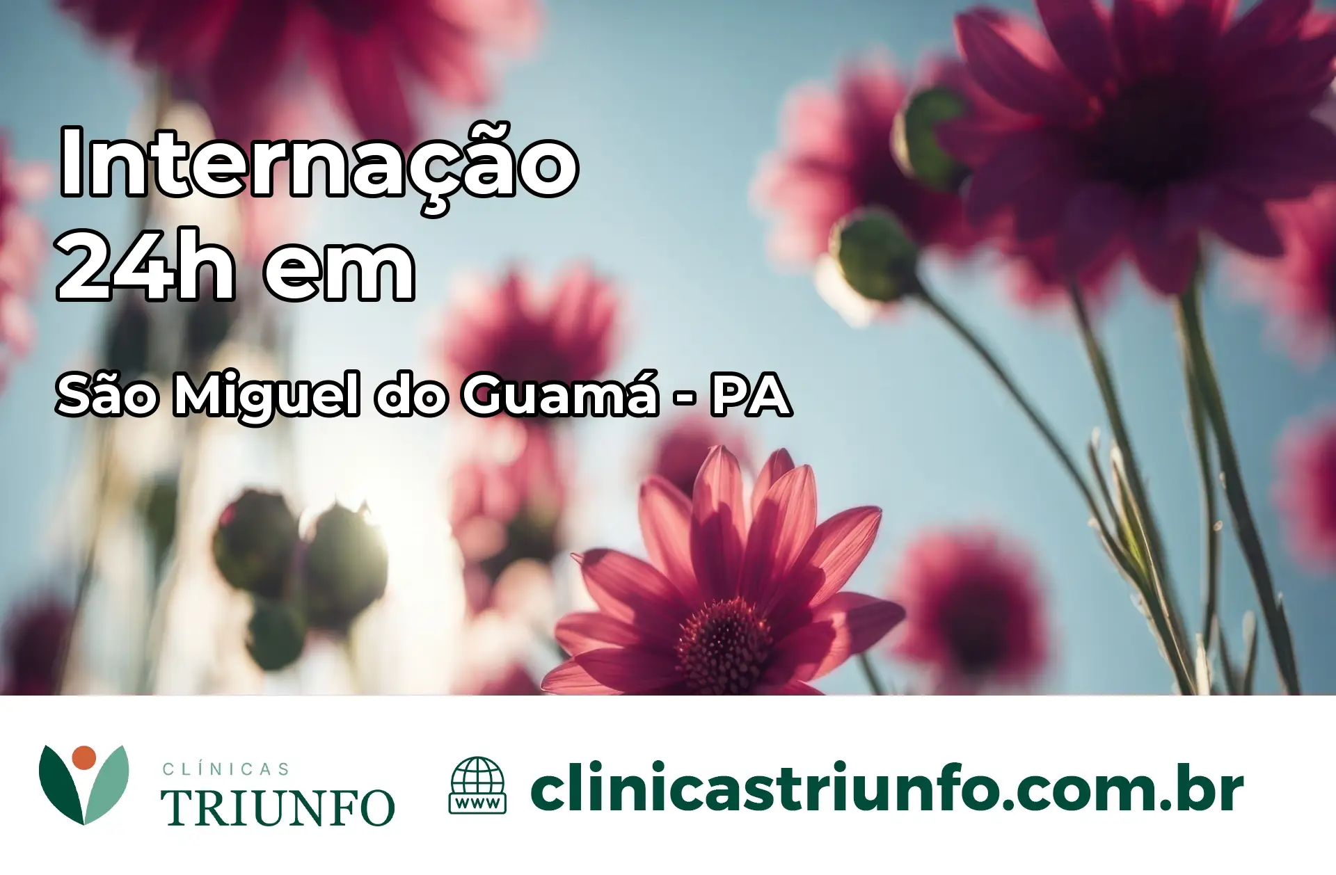 Internação 24 horas em São Miguel do Guamá – PA