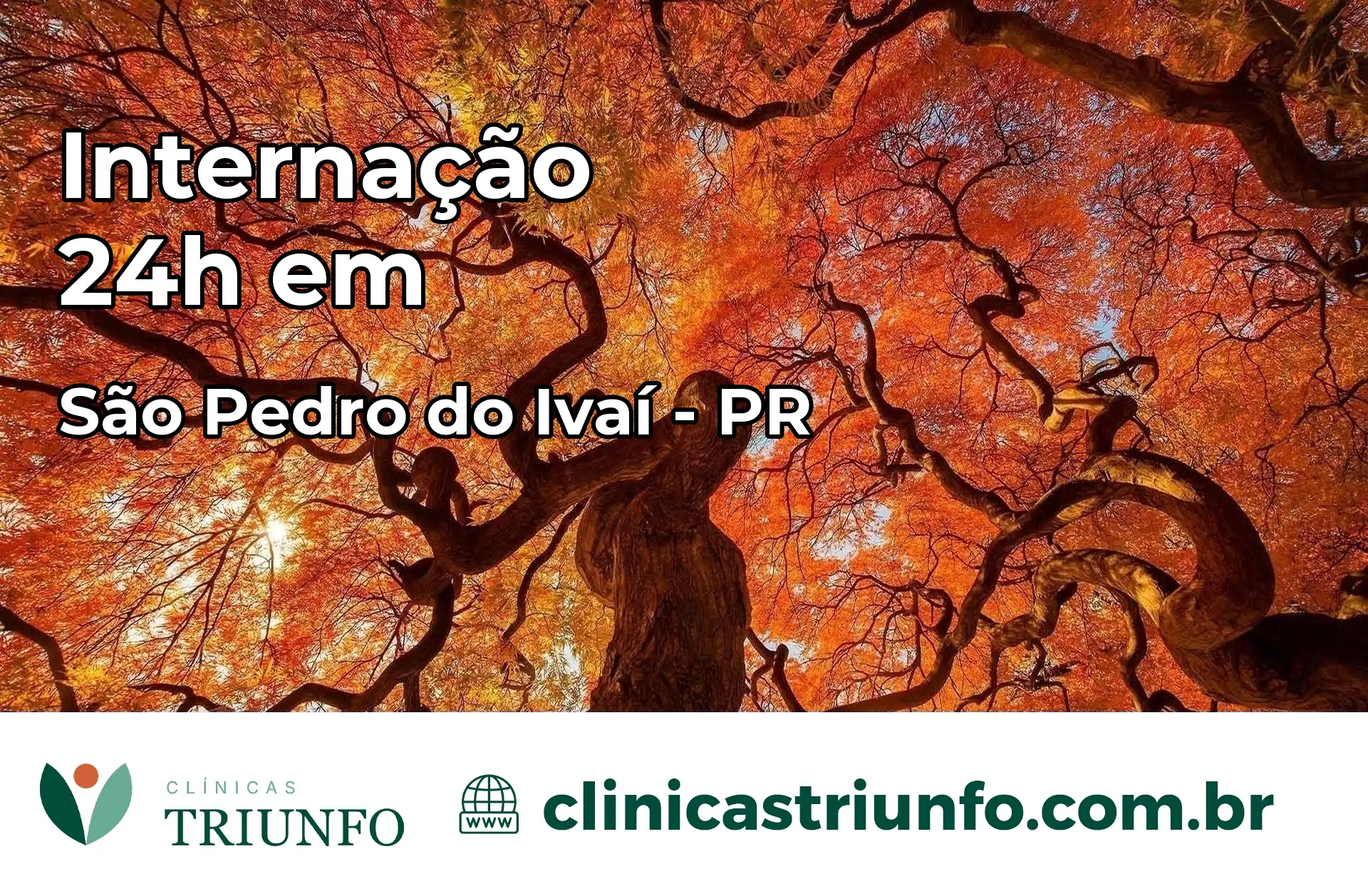 Internação 24 horas em São Pedro do Ivaí – PR