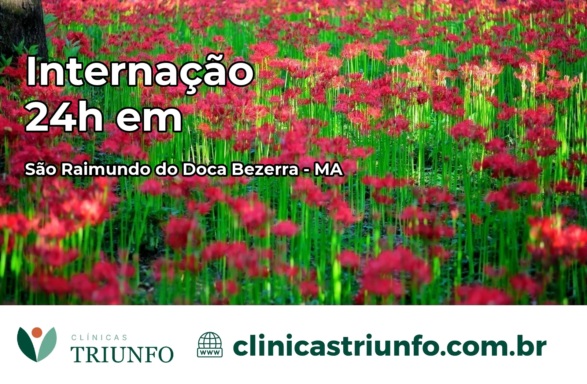 Internação 24 horas em São Raimundo do Doca Bezerra – MA