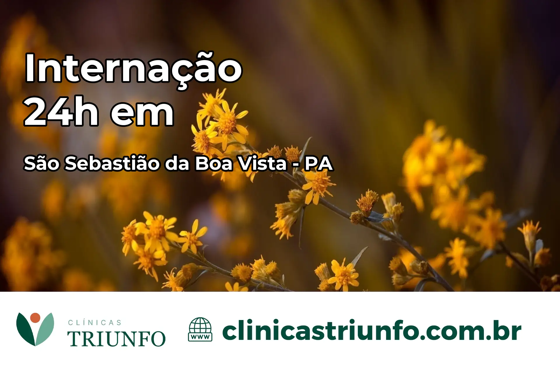 Internação 24 horas em São Sebastião da Boa Vista – PA