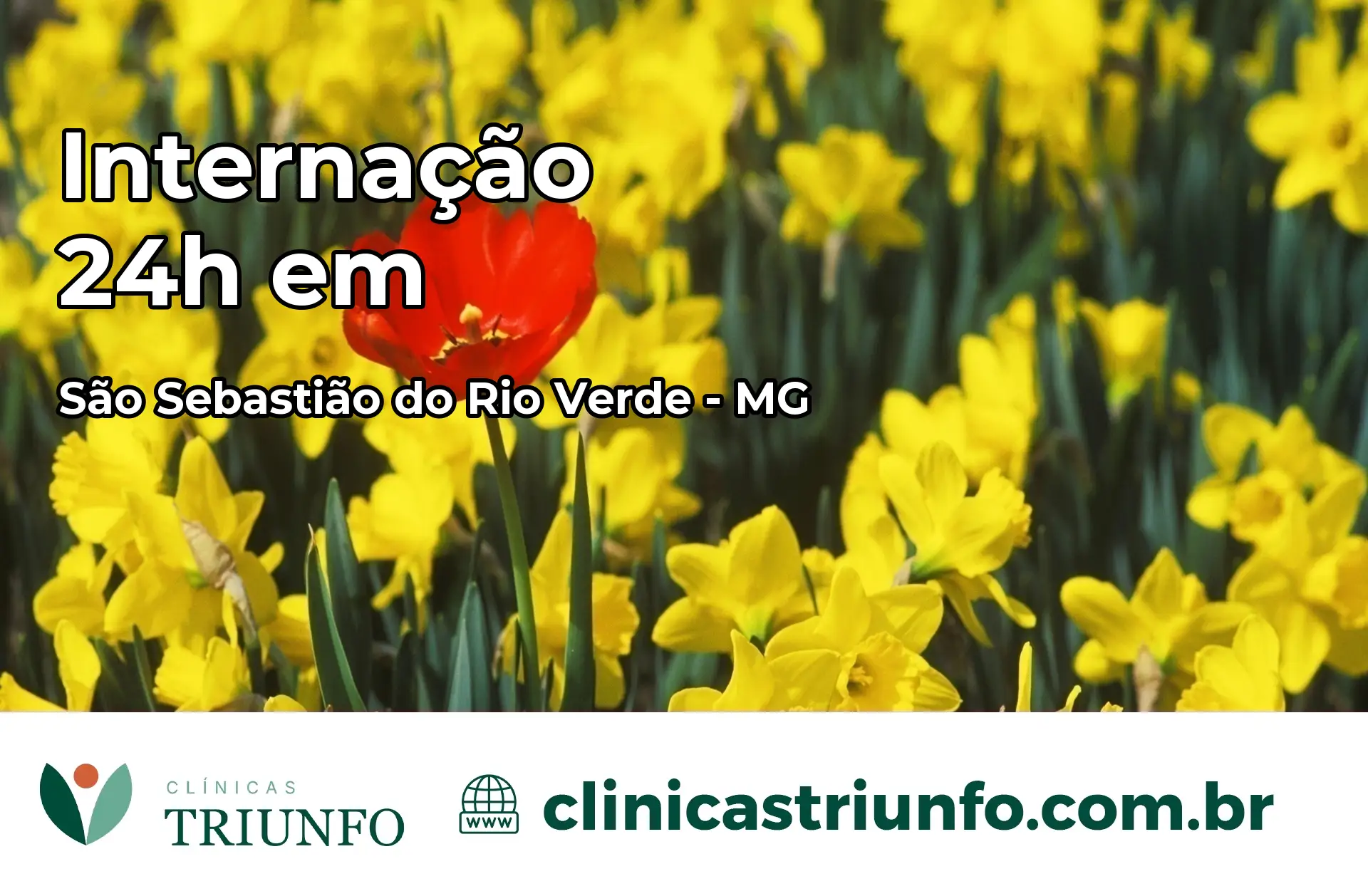 Internação 24 horas em São Sebastião do Rio Verde – MG