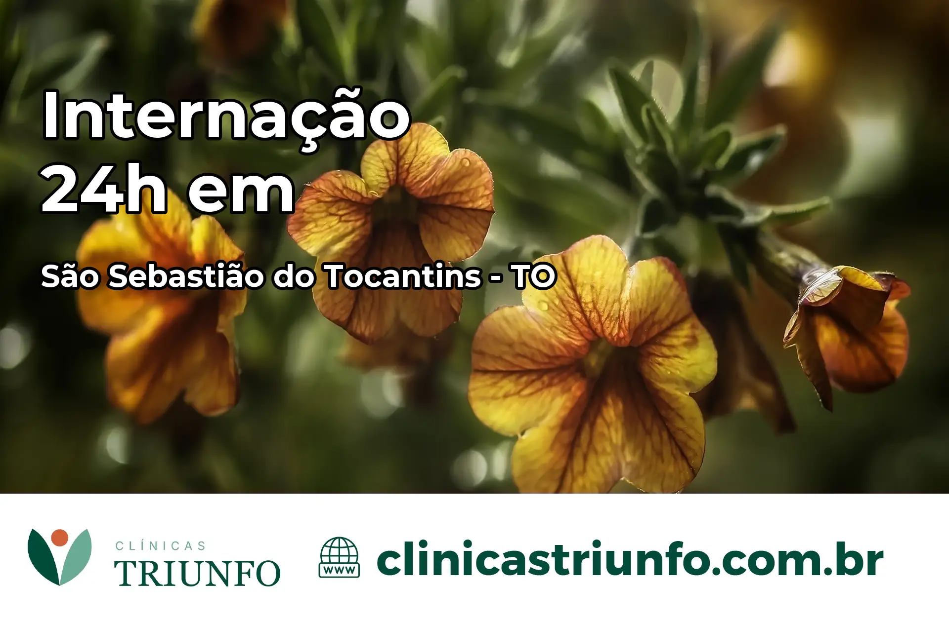 Internação 24 horas em São Sebastião do Tocantins – TO