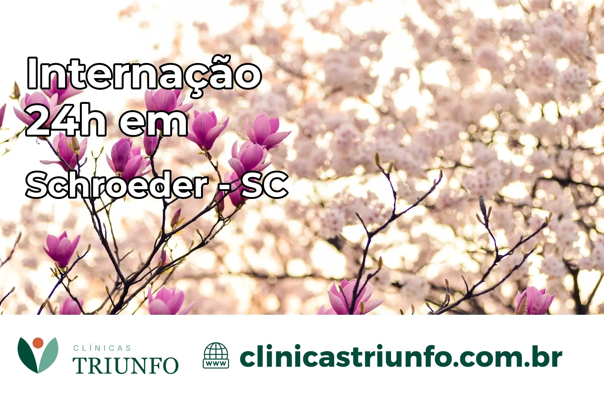 Internação 24 horas em Schroeder – SC