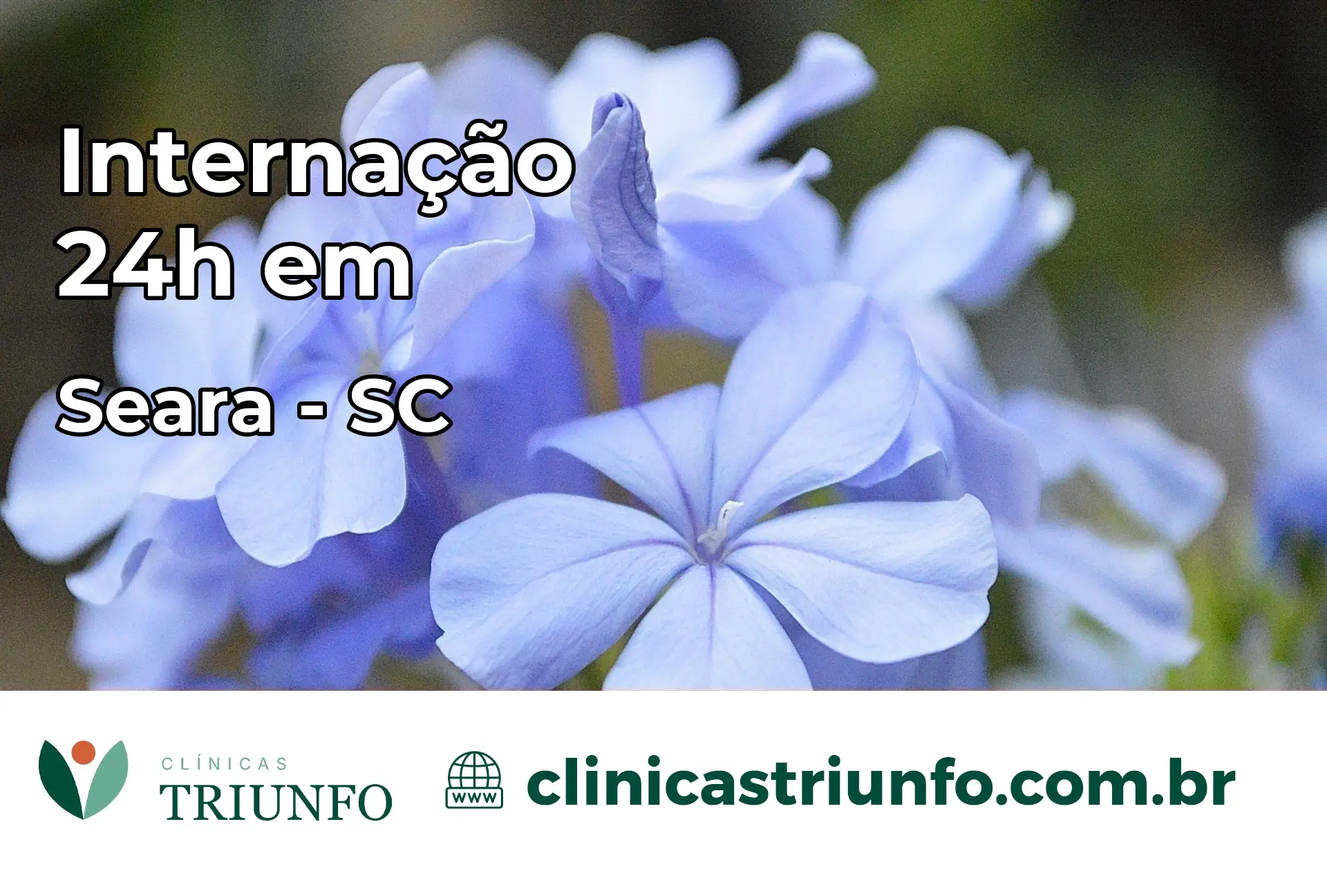 Internação 24 horas em Seara – SC