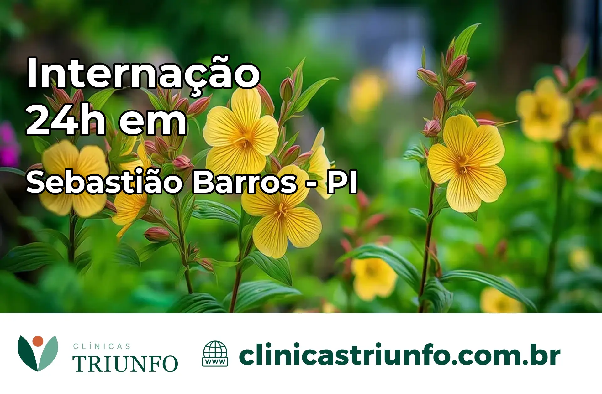 Internação 24 horas em Sebastião Barros – PI
