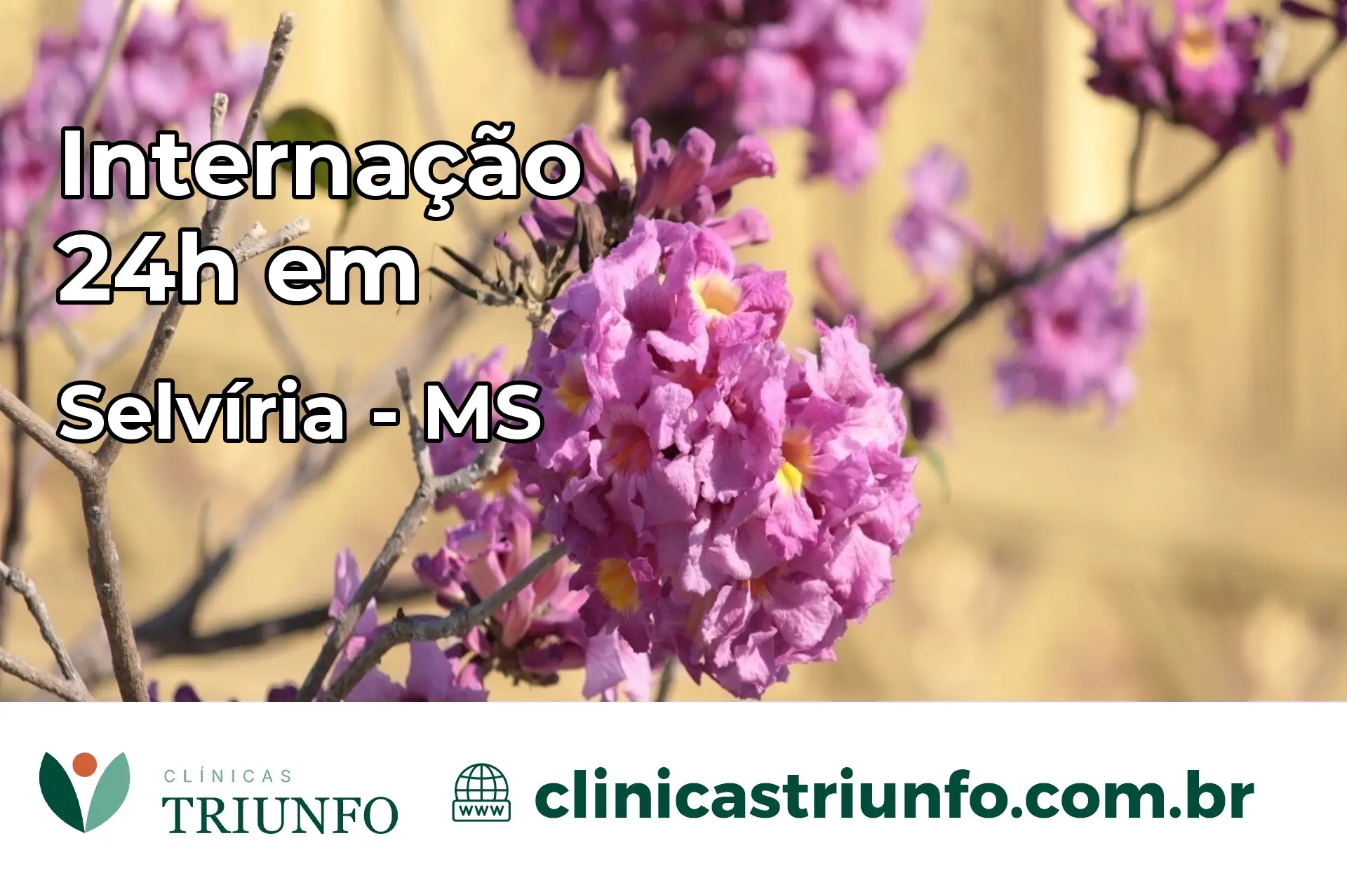 Internação 24 horas em Selvíria – MS