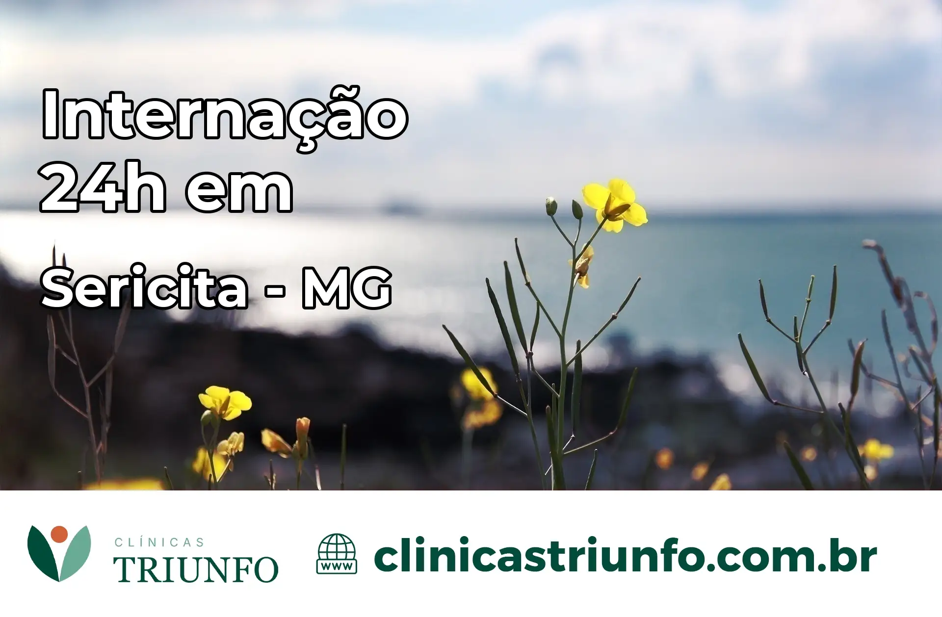 Internação 24 horas em Sericita – MG